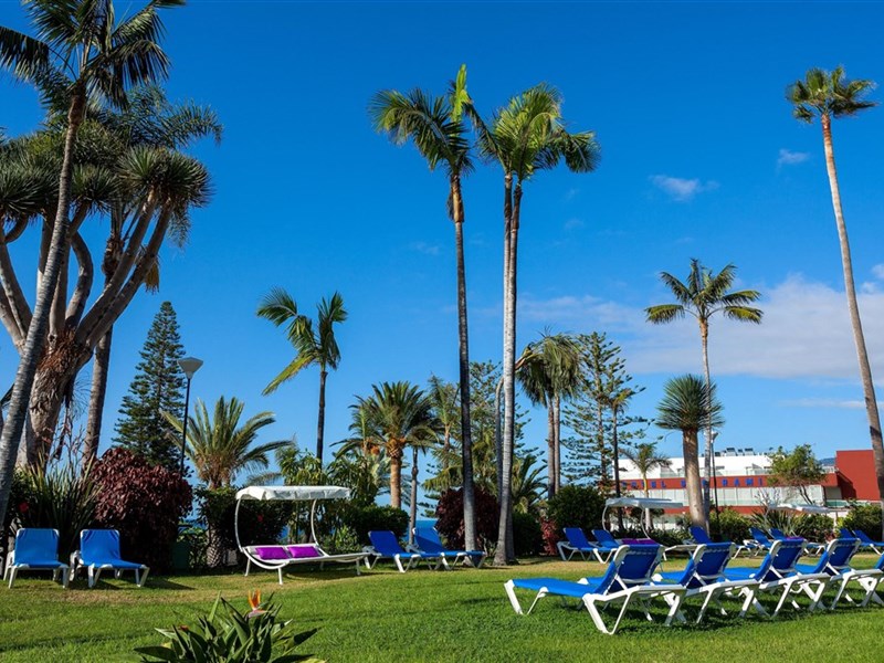 BEST SEMIRAMIS - fotografie