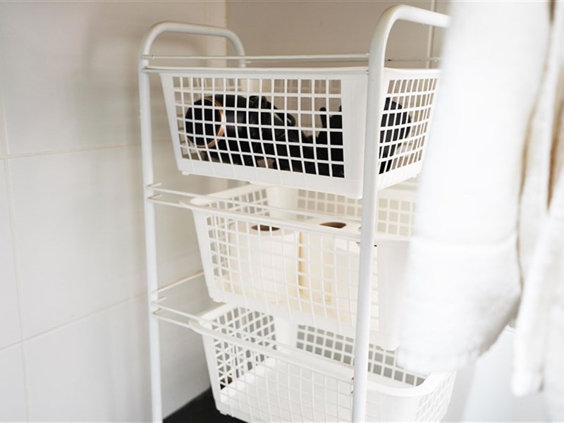 CORAL LOS ALISIOS - fotografie