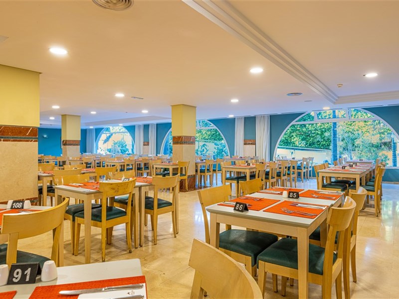 IFA ALTAMARENA - fotografie