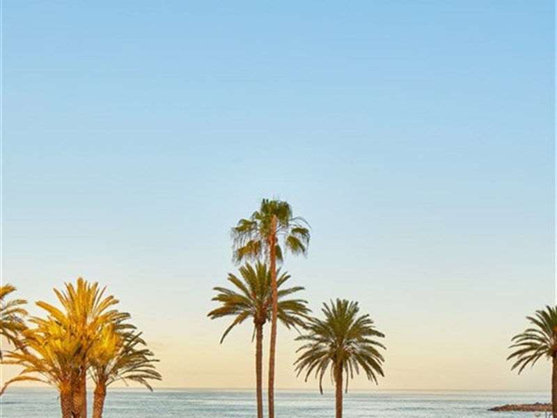 SOL TENERIFE - fotografie