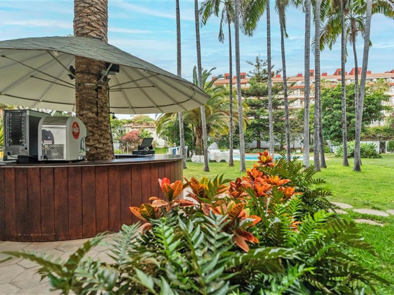 CORAL TEIDE MAR - fotografie