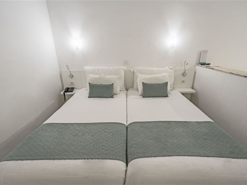 CORAL TEIDE MAR - fotografie