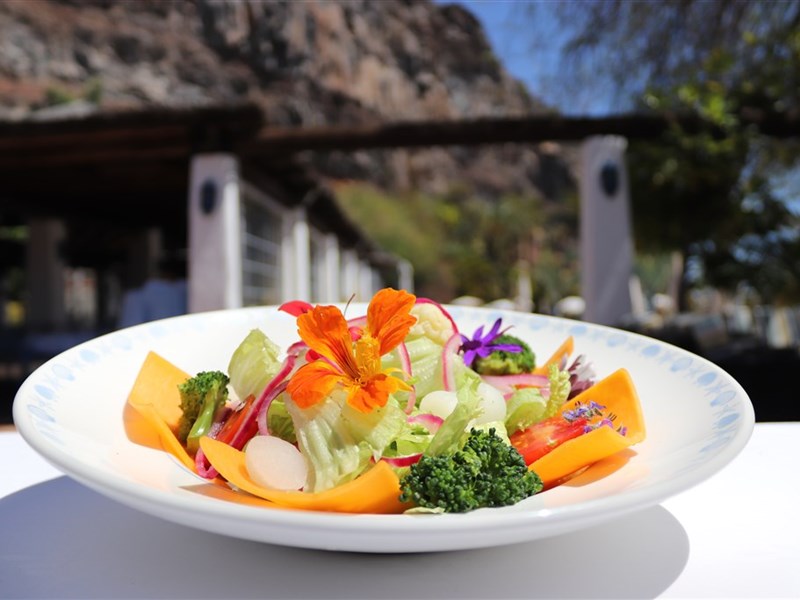 JARDÍN TECINA - fotografie