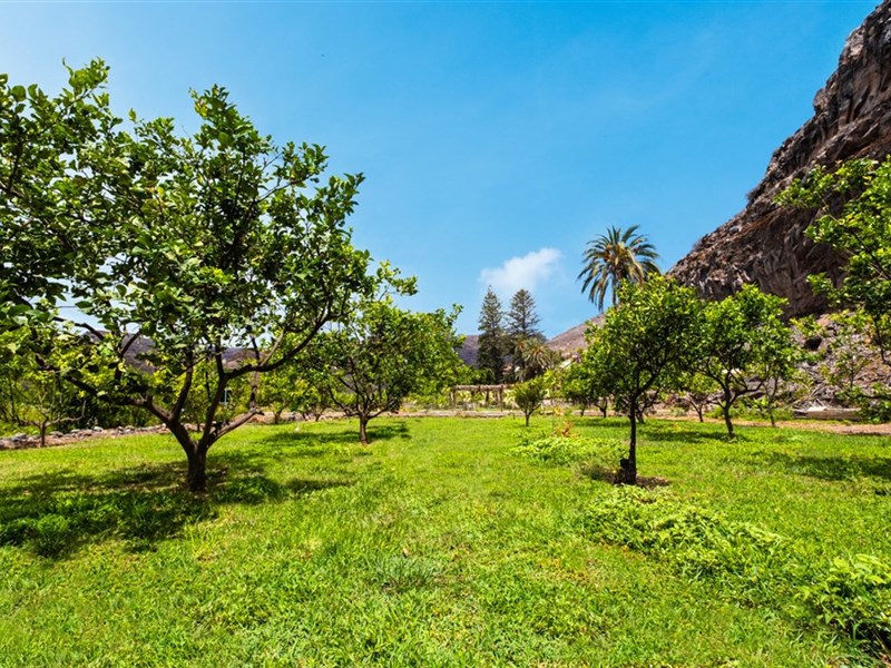 JARDÍN TECINA - fotografie