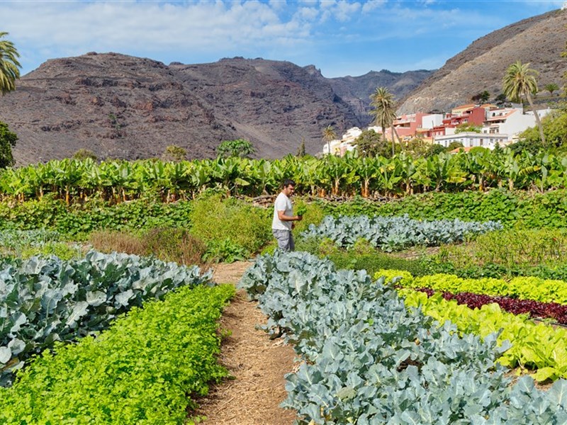 JARDÍN TECINA - fotografie
