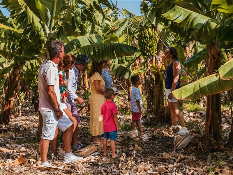 JARDÍN TECINA - fotografie