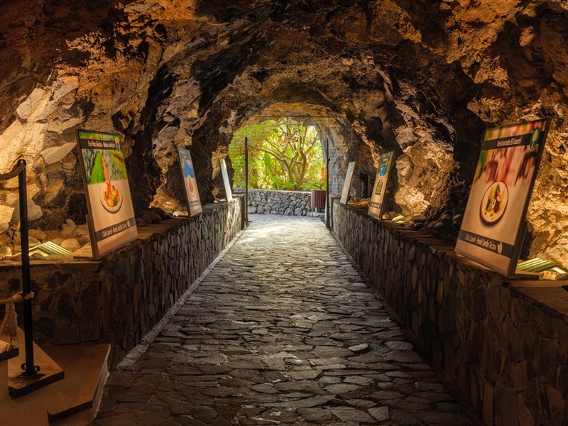 JARDÍN TECINA - fotografie