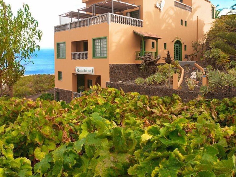 IDA INES - fotografie