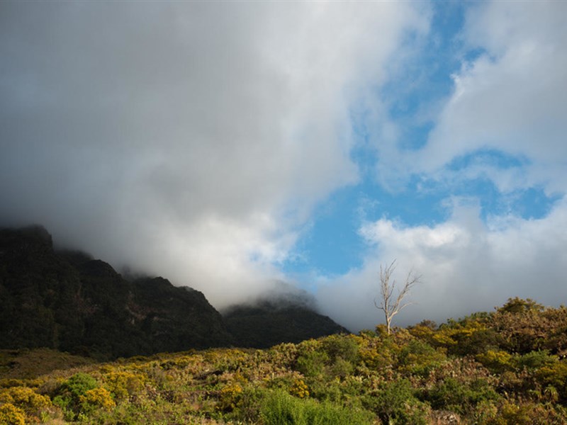 EL SITIO - fotografie