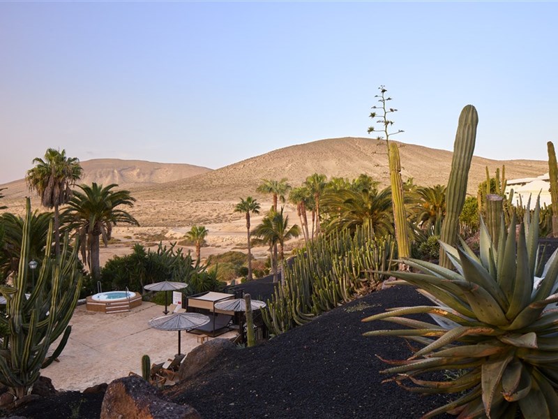 PARADISUS BY MELIÁ FUERTEVENTURA - fotografie