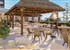PARADISUS BY MELIÁ FUERTEVENTURA - fotografie