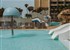 PARADISUS BY MELIÁ FUERTEVENTURA - fotografie
