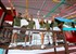 SOL FUERTEVENTURA JANDÍA ALL SUITES - fotografie