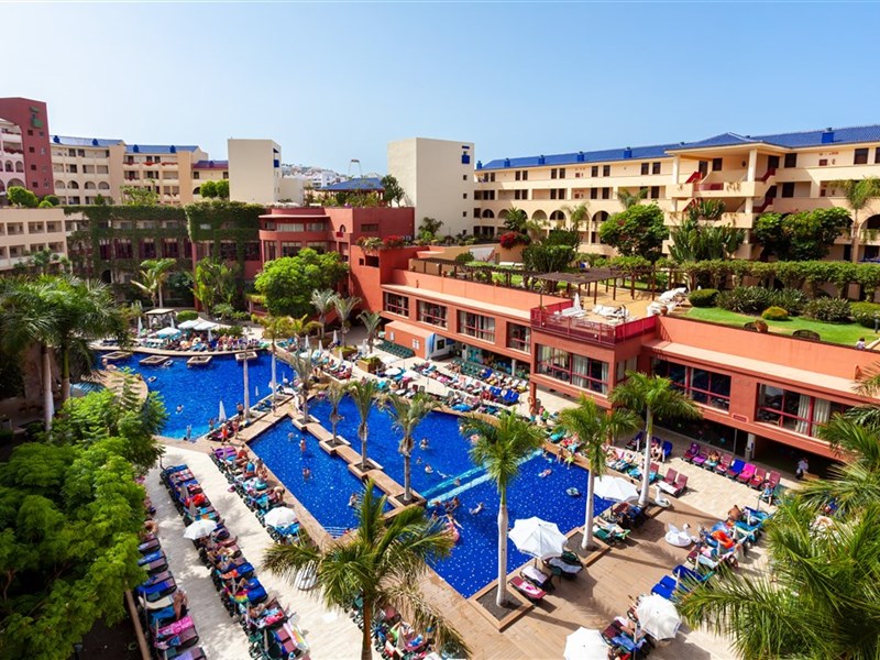 BEST JACARANDA - fotografie