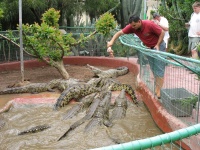 Krokodýlí park 